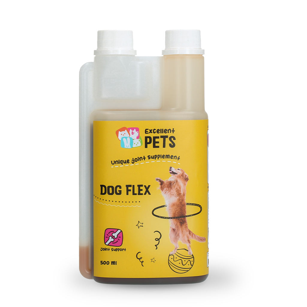 DOGF1260
