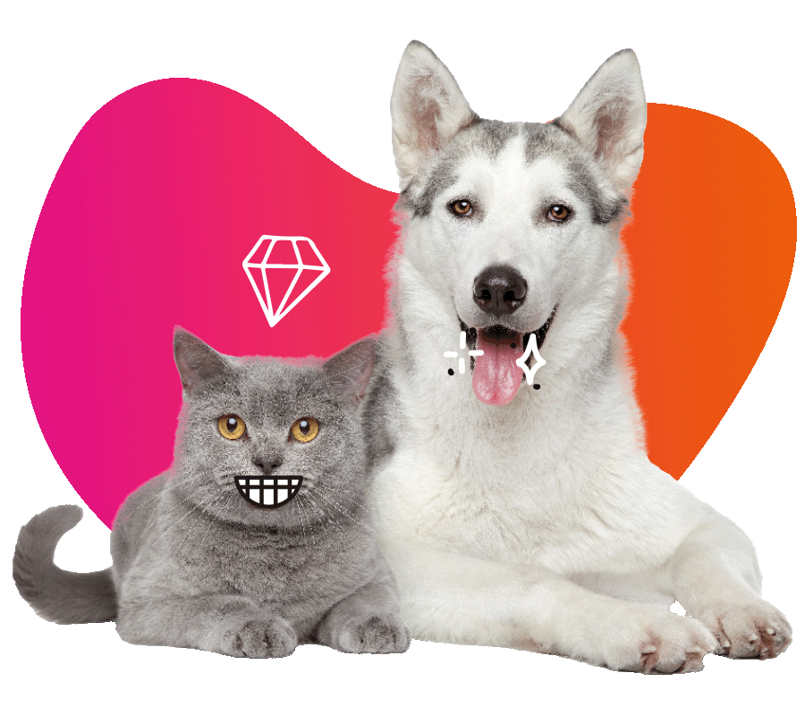 Excellent_Pets_Bedankt